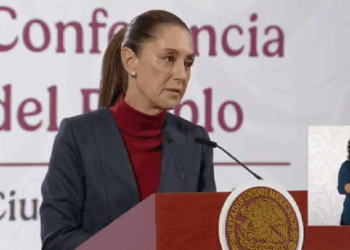 “Si Salinas P. no paga, vienen procedimientos jurídicos”: Sheinbaum