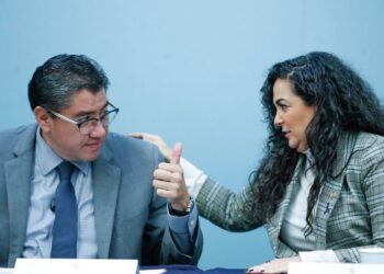 Senadora Olga Sosa propone que acceso a la energía eléctrica sea considerado derecho humano.