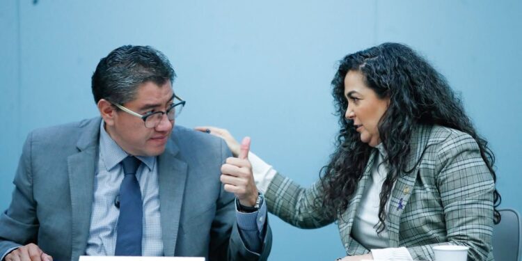 Senadora Olga Sosa propone que acceso a la energía eléctrica sea considerado derecho humano.