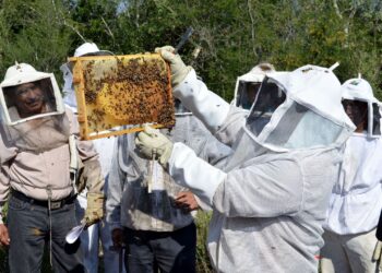 Impulsa Gobierno de Tamaulipas el relevo generacional en la apicultura