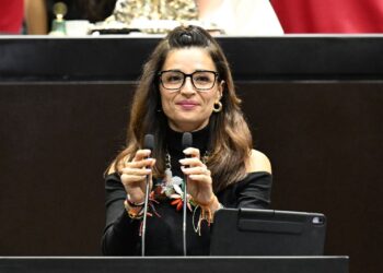 Los animales domésticos son inalienables y no estarán sujetos a embargo