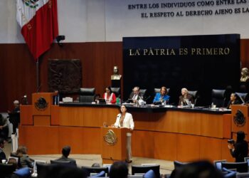 Los programas de bienestar son derechos y garantizan ingreso básico y una vida libre de carencias: Olga Sosa