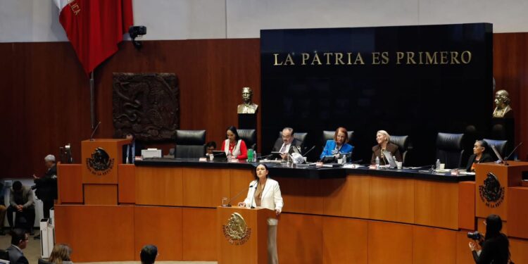 Los programas de bienestar son derechos y garantizan ingreso básico y una vida libre de carencias: Olga Sosa