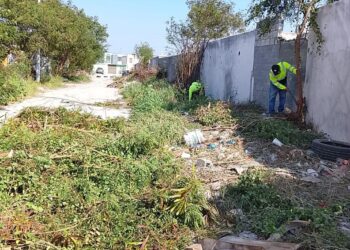 Promueve Gobierno de Reynosa entornos limpios para las familias