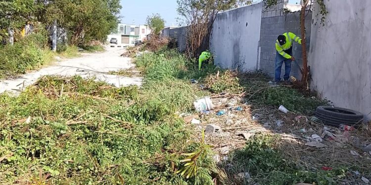 Promueve Gobierno de Reynosa entornos limpios para las familias