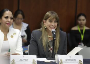 Se pronunció Maki Ortiz por una reforma electoral que fortalezca al INE y a la democracia