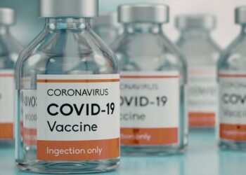 El nuevo coronavirus