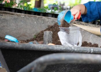 Refuerzan acciones contra el trabajo infantil tras detectar menores en operativos en Ciudad Victoria