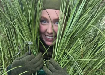 Ganan mil 309 dólares ‘arbolitos’ humanos de Bad Bunny