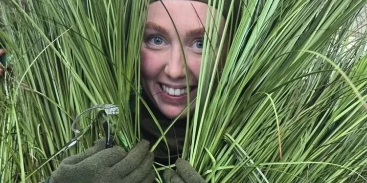 Ganan mil 309 dólares ‘arbolitos’ humanos de Bad Bunny