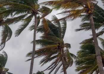 Rachas intensas de viento causan daños y alertan a autoridades en Reynosa