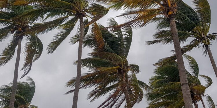Rachas intensas de viento causan daños y alertan a autoridades en Reynosa