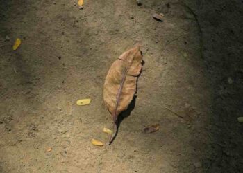 Preocupación por electricistas desaparecidos en traslado laboral