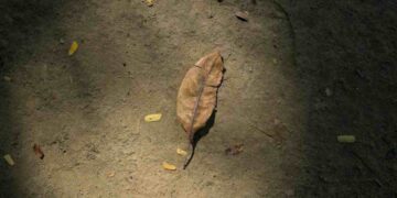 Preocupación por electricistas desaparecidos en traslado laboral