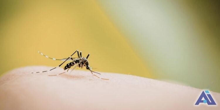 Lluvias y calor mantienen riesgo de dengue en el estado