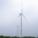 Incrementará Tamaulipas más de 2500 MW con proyectos eólicos