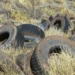 Llantas abandonadas ponen en riesgo a colonia de Reynosa