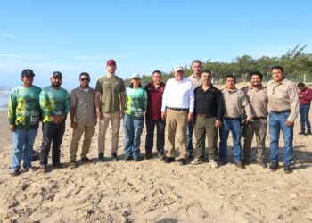 Consolida Tamaulipas liderazgo en la protección de la tortuga lora