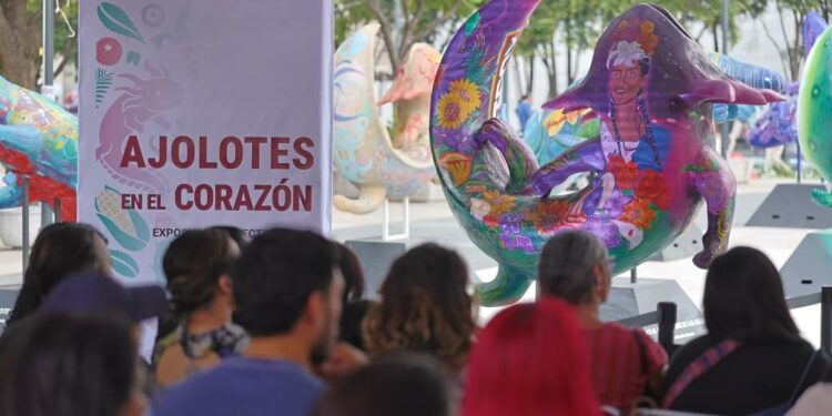 CDMX llena de color Plaza Tlaxcoaque con la exposición “Ajolotes en el Corazón”
