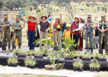 CDMX impulsa jornada de reforestación y anuncia acciones para proteger suelo verde