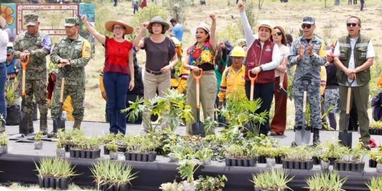 CDMX impulsa jornada de reforestación y anuncia acciones para proteger suelo verde