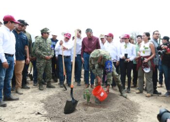 Tamaulipas participa en Jornada Nacional de Reforestación; se plantarán 15 mil árboles: Américo
