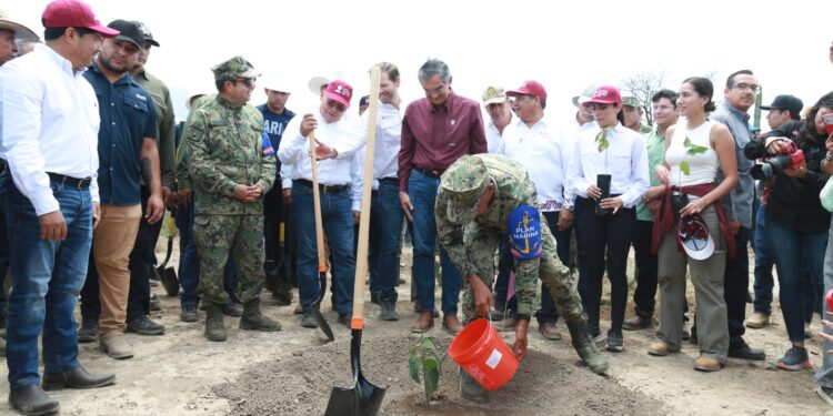 Tamaulipas participa en Jornada Nacional de Reforestación; se plantarán 15 mil árboles: Américo