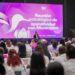 DIF Tamaulipas reúne a los 43 municipios para fortalecer programas de asistencia social